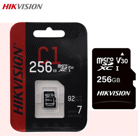 Micro SD 256 GB C10