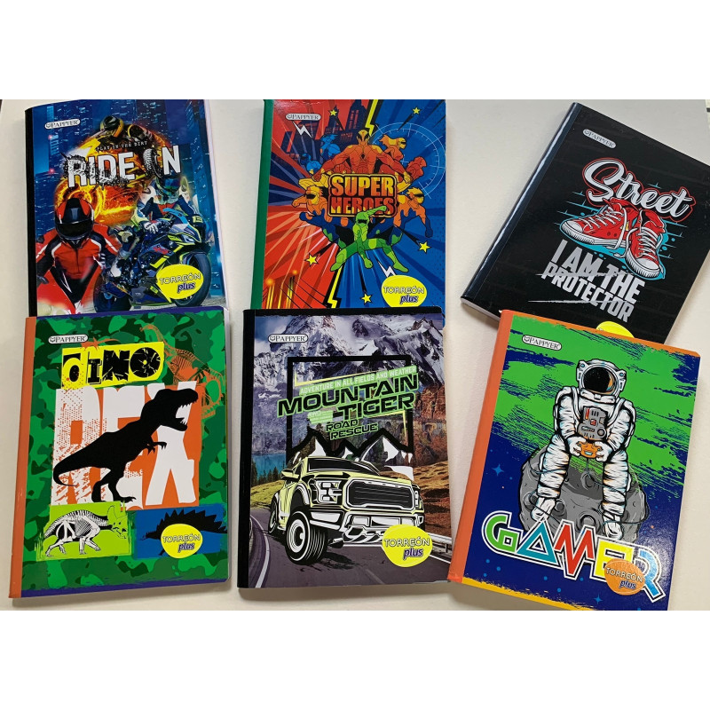 Cuaderno Cosido Grande 100 Hojas