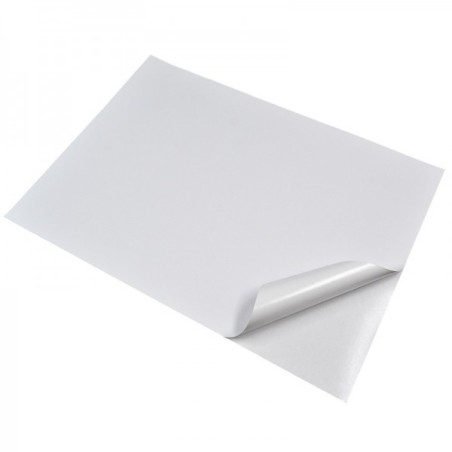 Papel Adhesivo Carta x 10 Hojas