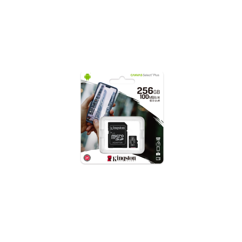 Memoria Micro SD 256 GB C10