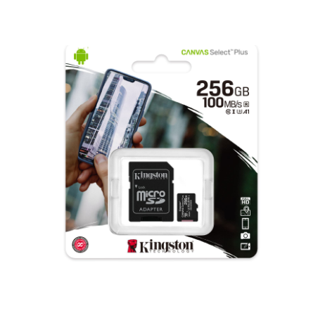 Memoria Micro SD 256 GB C10