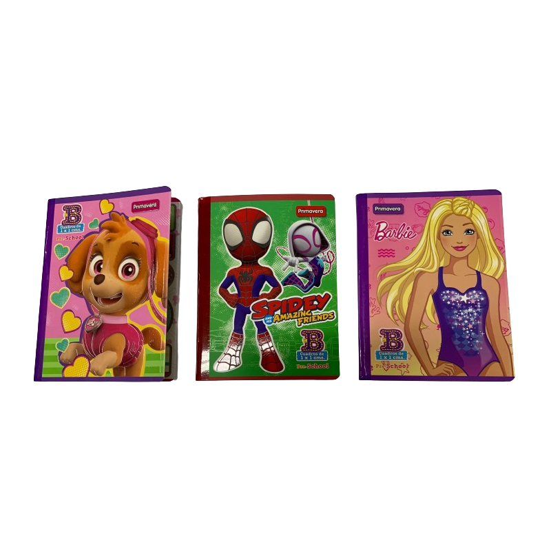 Cuaderno de Regleta Tipo B