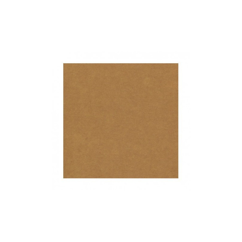 Carton Kraft 361 Grs. 70 x 100