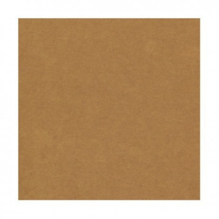 Carton Kraft 361 Grs. 70 x 100